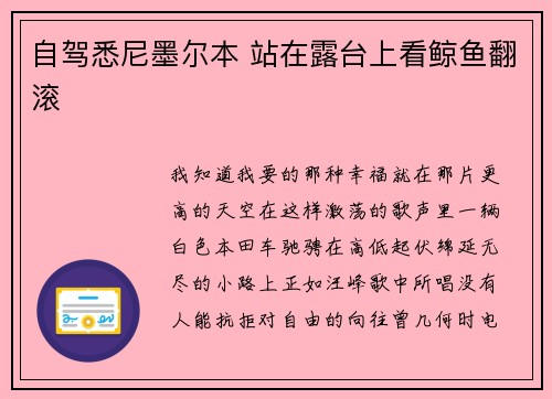 自驾悉尼墨尔本 站在露台上看鲸鱼翻滚