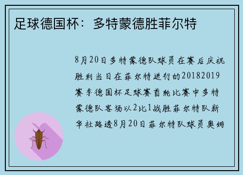 足球德国杯：多特蒙德胜菲尔特